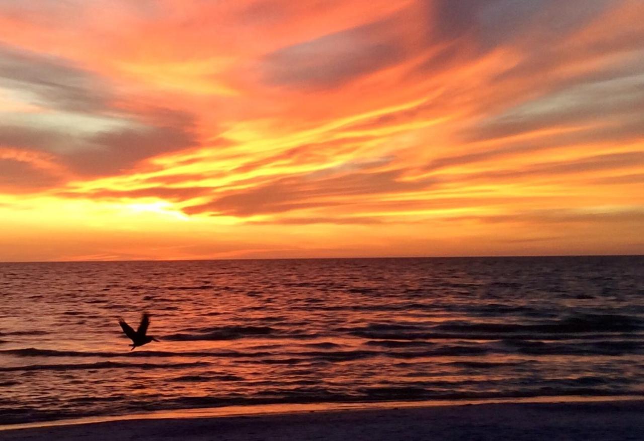 Carousel Beach Inn Fort Myers Beach Kültér fotó